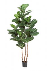 56907N-iskusstvennyj-ficus-elastica-nitida-kauchukonosnyj-220-cm
